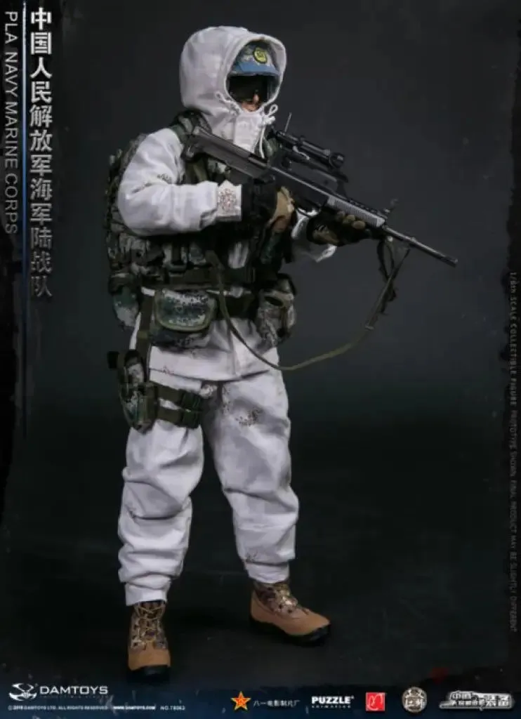 DAMTOYS 1/6 PLA Navy Marine Corps