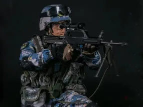DAMTOYS 1/6 PLA Navy Marine Corps