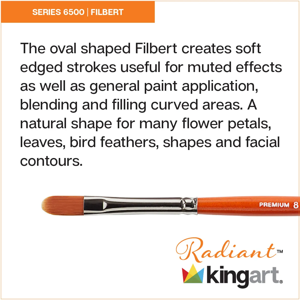 Radiant™ 6500 Filbert Brush Set, 6 pc